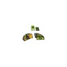 Salade des cafards