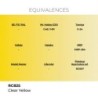  AK - Peinture Real Colors : Clear Yellow - 17 ml