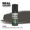 AK - Peinture Real Colors : Dunkelbraun - Dark Brown RAL 7017 - 17 ml