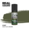 AK - Peinture Real Colors : Slate No.34 (BS381) - 17 ml