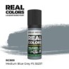 AK - Peinture Real Colors : Medium Blue Grey FS 35237 - 17 ml