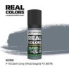 AK - Peinture Real Colors : F - 15 Dark Grey (Mod Eagle) FS 36176 - 17 ml