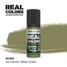 AK - Peinture Real Colors : US Interior Yellow Green - 17 ml