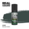 AK - Peinture Real Colors : Bronze Green - 17 ml
