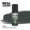 AK - Peinture Real Colors : IJN D1 Deep Green Black - 17 ml