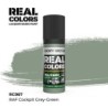 AK - Peinture Real Colors : RAF Cockpit Grey - Green - 17 ml