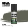 AK - Peinture Real Colors : RAF Dark Slate Grey - 17 ml