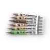  AK - Playmarkers - Skin & Flesh Tones (6 Ref.)