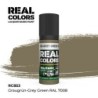 AK - Peinture Real Colors : Graugrün - Grey Green RAL 7008 - 17 ml