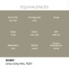  AK - Peinture Real Colors : Grau - Grey RAL 7027 - 17 ml