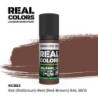 AK - Peinture Real Colors : Rot (Rotbraun) - Red Brown RAL 8013 - 17 ml