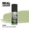 AK - Peinture Real Colors : Silver Grey No.28 (BS381) - 17 ml