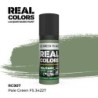 AK - Peinture Real Colors : Pale Green FS 34227 - 17 ml