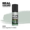 AK - Peinture Real Colors : Duck Egg Blue FS 35622 - 17 ml
