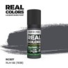AK - Peinture Real Colors : RLM 66 (1938) - 17 ml