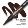  AK - Peinture Real Colors : Real Colors Markers: Chipping Color