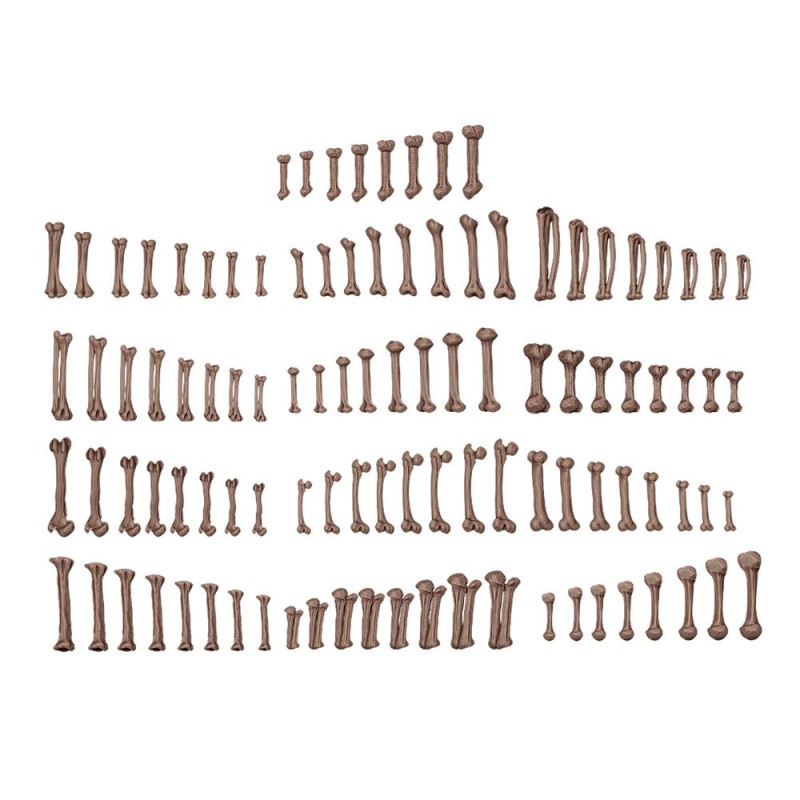  AK - Human Bones - Basing Bits 120 Pieces