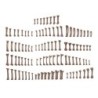  AK - Human Bones - Basing Bits 120 Pieces