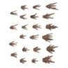  AK - Bullet Impact Fx - Basing Bits 43 Pieces