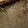  AK - Water Gel Swamp Green Effects - 250 ml (Acrylic)