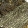  AK - Terrains Wet Ground - 250 ml (Acrylic)