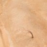  AK - Terrains Sandy Desert - 250 ml (Acrylic)
