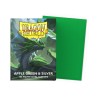 Dragon Shield - 100 Sleeves Standard Dual Matte - Green & Silver