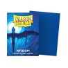 Dragon Shield - 100 Sleeves Standard Dual Matte - Wisdom
