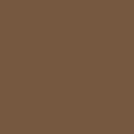 Vallejo - Sous-couche : Fantasy Color Primer: Beasty