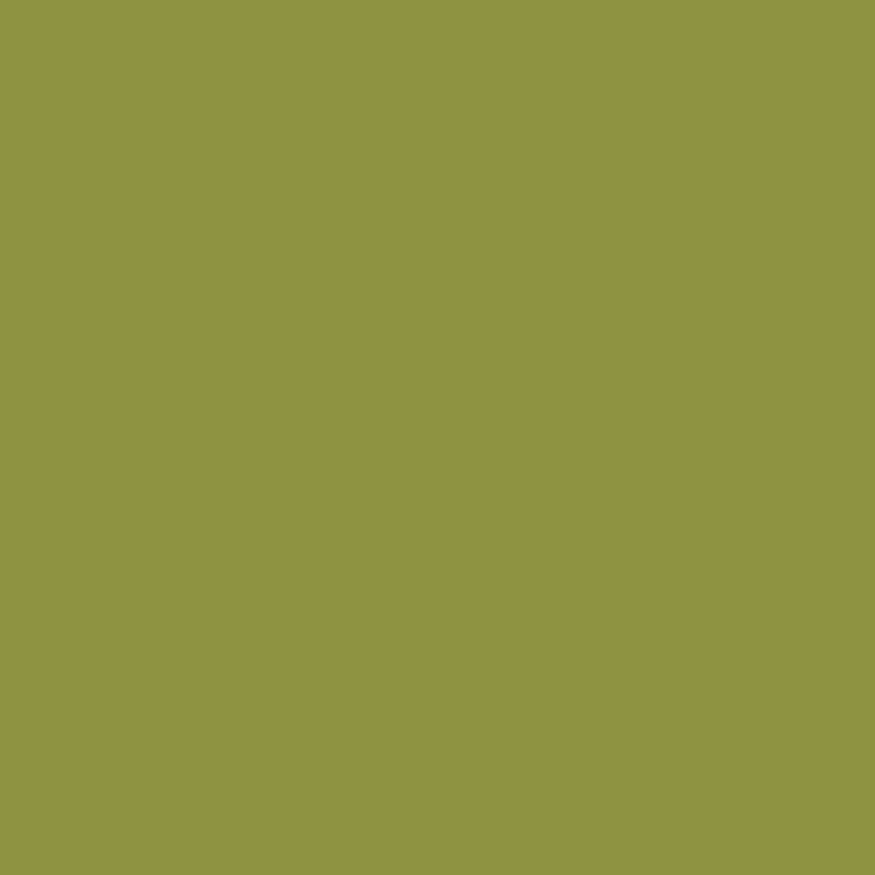 Vallejo - Peinture Model Color : 091 - Lime Green