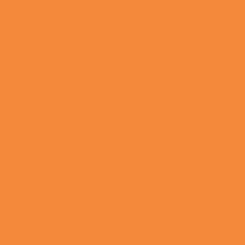 Vallejo - Peinture Model Color : 029 - Light Oran