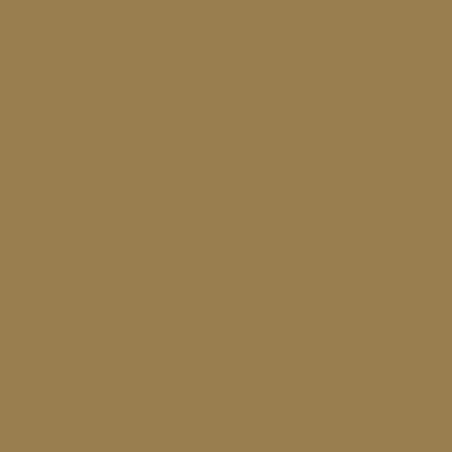 Vallejo - Peinture Model Air : Middlestone 18 Ml