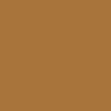 Vallejo - Peinture Model Air : Wood 18 Ml