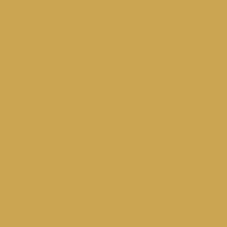 Vallejo - Peinture Model Air : US Interior Yellow