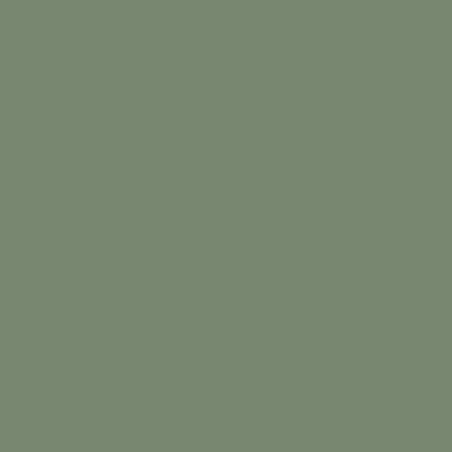 Vallejo - Peinture Model Air : IDF Green 18 Ml