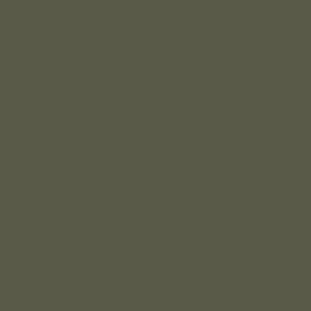 Vallejo - Peinture Model Air : A24M Camouflage Gr