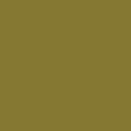 Vallejo - Peinture Game Color : Camouflage Green