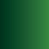 Vallejo - Peinture Xpress Color : Forest Green 18