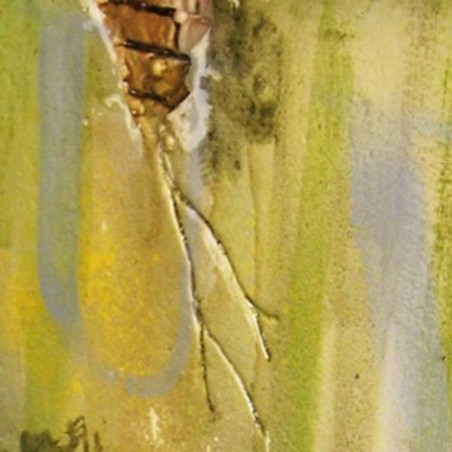Vallejo - Weathering Fx: Slimy Grime Da