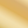 Vallejo - Peinture True Metallic Metal : Arcane G