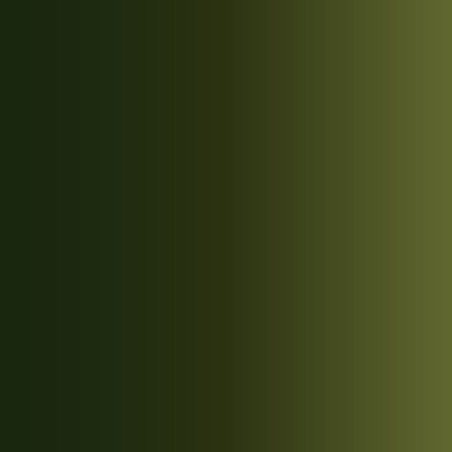 Vallejo - Peinture True Metallic Metal : Greenish