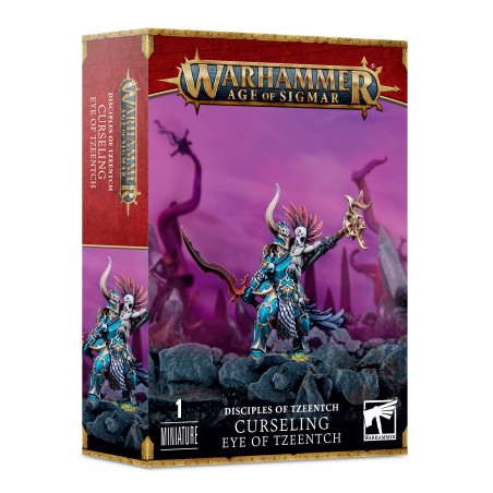 Age of Sigmar - Disciples of Tzeentch : Imprecaeteur Geil de Tzeentch