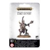 Age of Sigmar - Hedonites of Slaanesh : Lord Of Pain