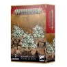 Age of Sigmar - Nurgle : Maggotkin of Nurgle: Nurgletes