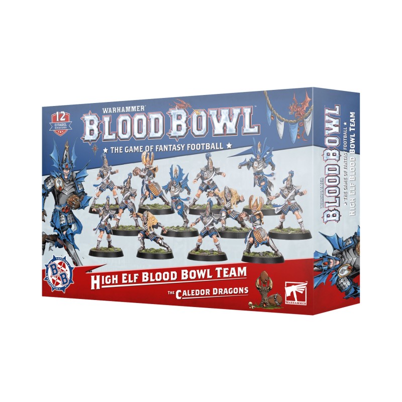 Blood Bowl - High Elf : Blood Bowl Team