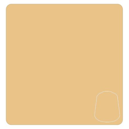 Warhammer Colour - Peinture Layer : Flayed One Flesh - 12 ml