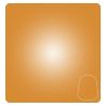 Warhammer Colour - Peinture Layer : Auric Armour Gold - 12 ml