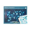 Moulin Roty - Décalcomanies - Constellations