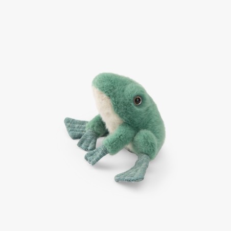 Moulin Roty - Peluche grenouille - Tout autour du monde