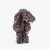 Moulin Roty - Peluche Mini Chien pourri - Ecole des loisirs